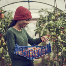 Agricultura-sostenible-beneficios-consumidor-salud