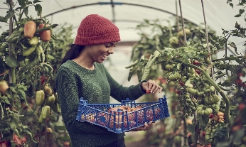Cómo beneficia a los consumidores la agricultura sostenible