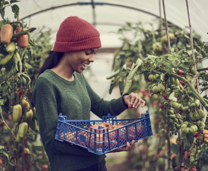 Cómo beneficia a los consumidores la agricultura sostenible
