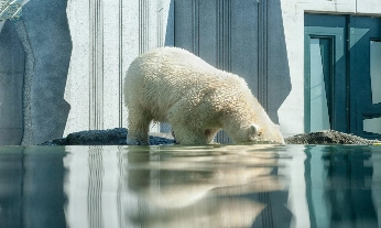 España contra el cambio climático: 5 medidas para frenarlo