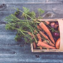 diferencias-alimentos-ecologicos-biologicos-organicos-sostenibles