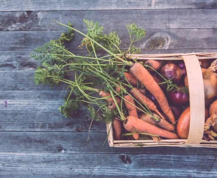 ¿Cuál es la diferencia entre alimentos ecológicos, biológicos, orgánicos y sostenibles? ¡Te lo contamos!