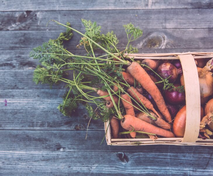 ¿Cuál es la diferencia entre alimentos ecológicos, biológicos, orgánicos y sostenibles? ¡Te lo contamos!