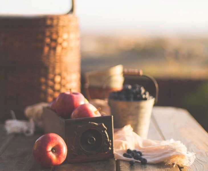 Picnic sostenible - Zero waste