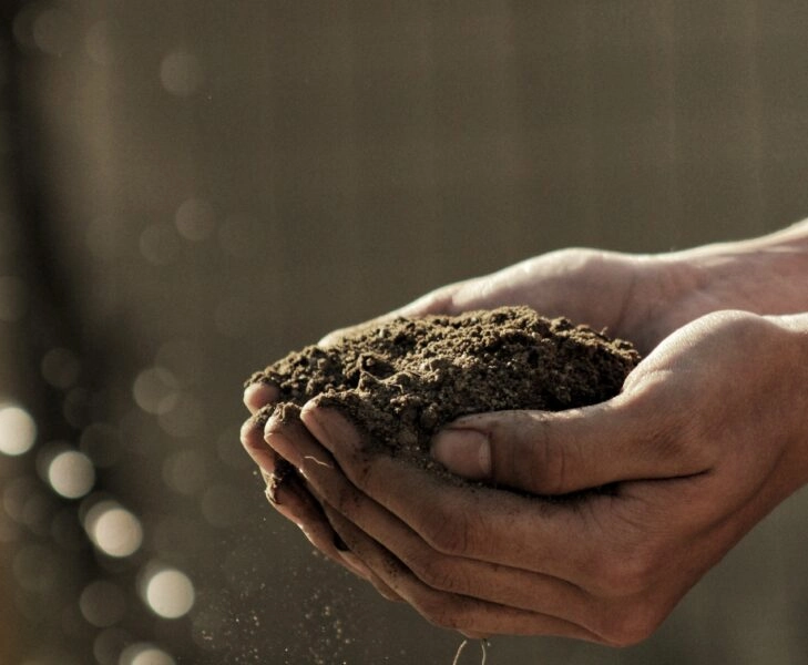 ‘Arraigados en la tierra’: cómo producir alimentos saludables mientras cuidamos al planeta
