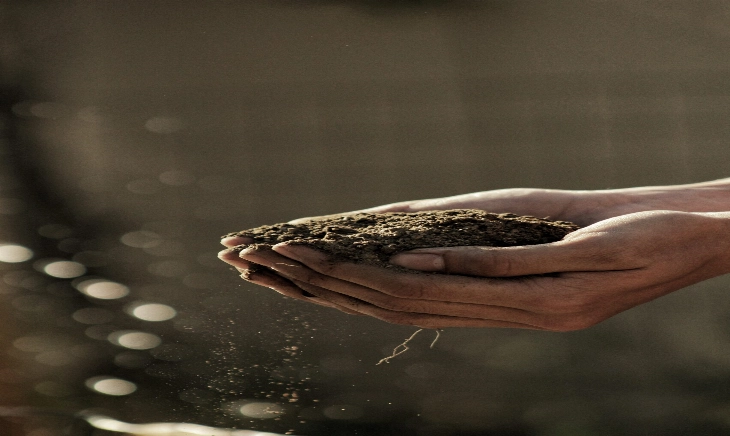 ‘Arraigados en la tierra’: cómo producir alimentos saludables mientras cuidamos al planeta