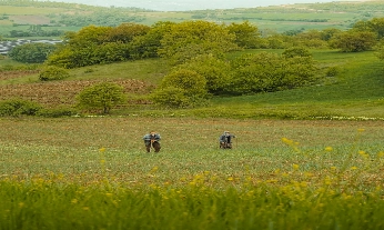 “La despoblación no viene sola”: este es el informe que dice adiós al éxodo rural