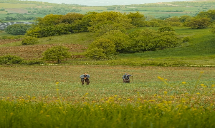 “La despoblación no viene sola”: este es el informe que dice adiós al éxodo rural
