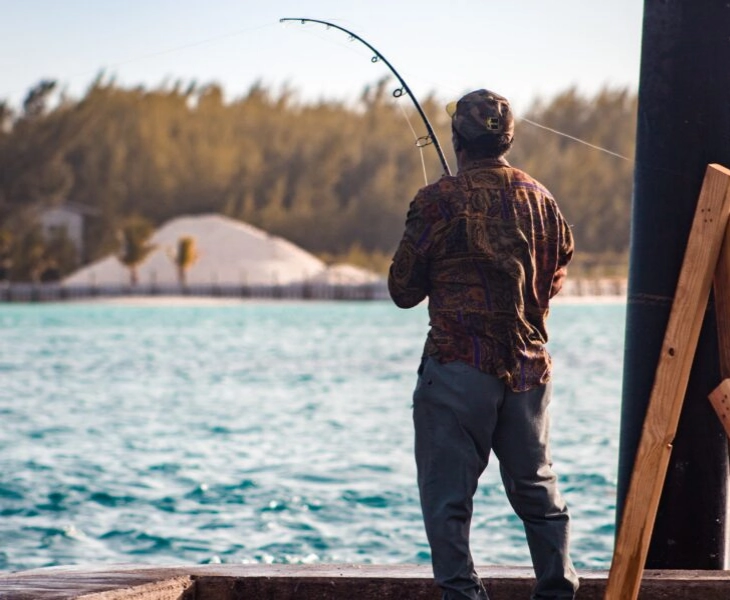 MSC: la ONG que ayuda a la pesca sostenible