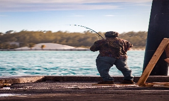 MSC: la ONG que ayuda a la pesca sostenible