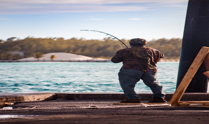 MSC: la ONG que ayuda a la pesca sostenible