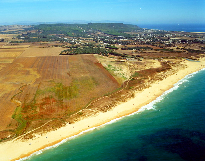 Playa de Mangueta (Vejer de la Frontera)