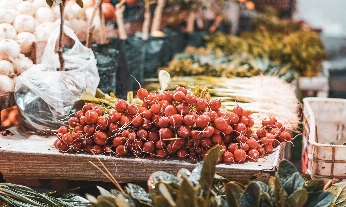 El día Mundial de la Gastronomía Sostenible se celebra el 18 de junio