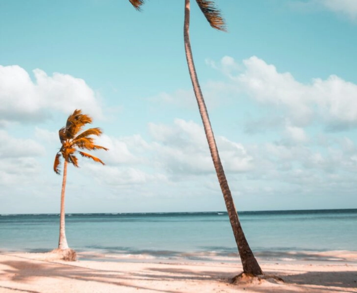 5 hábitos para disfrutar de la playa de manera sostenible