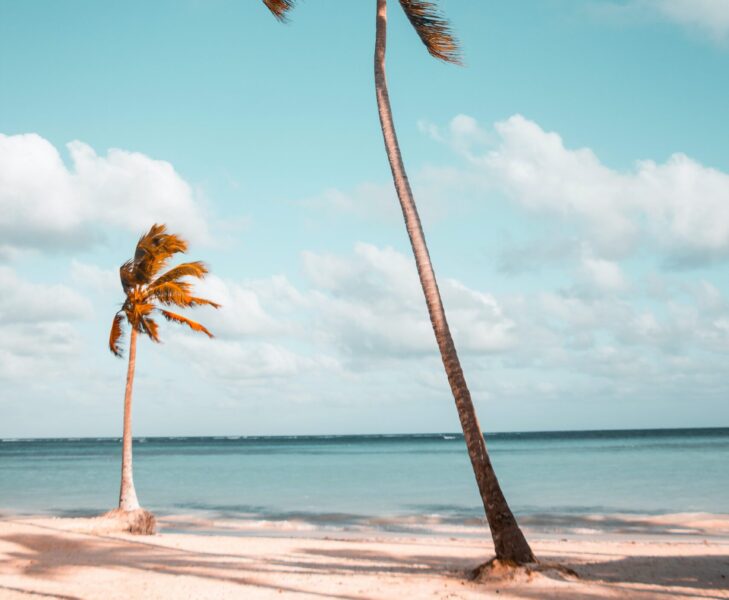 5 hábitos para disfrutar de la playa de manera sostenible
