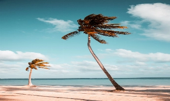 5 hábitos para disfrutar de la playa de manera sostenible