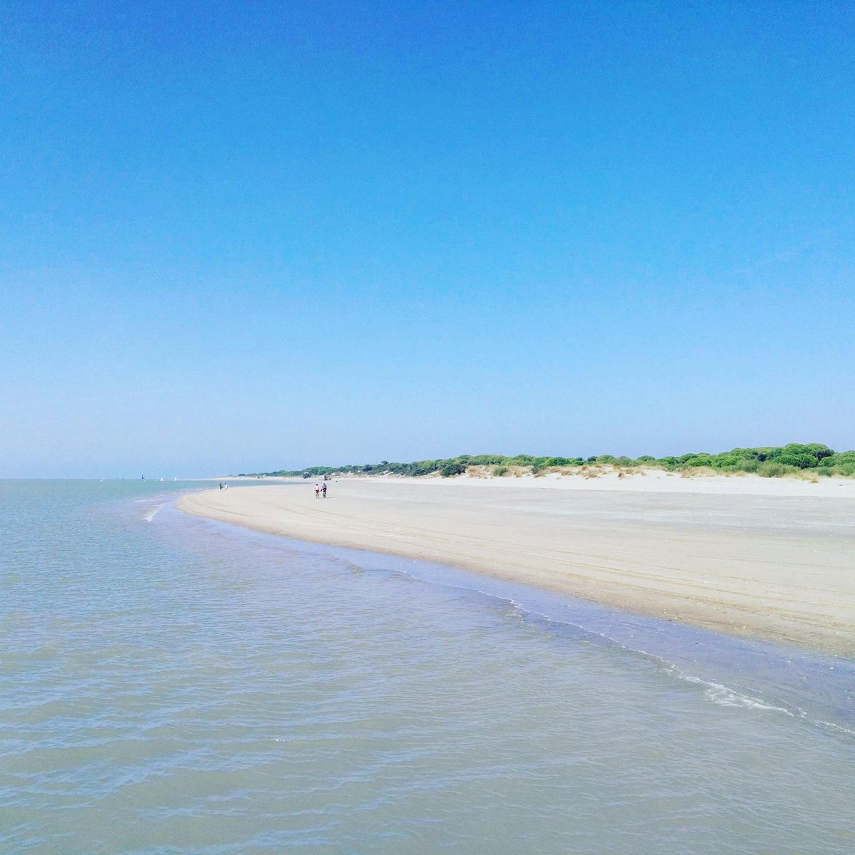 Playa de Doñana - Andalucía