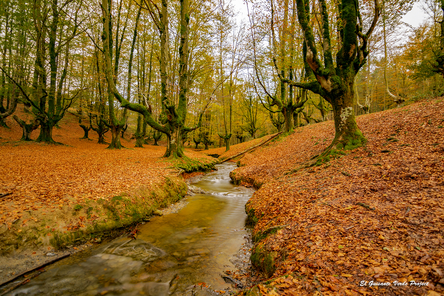 Parque Natural del Gorbea (Álava-Vizcaya)