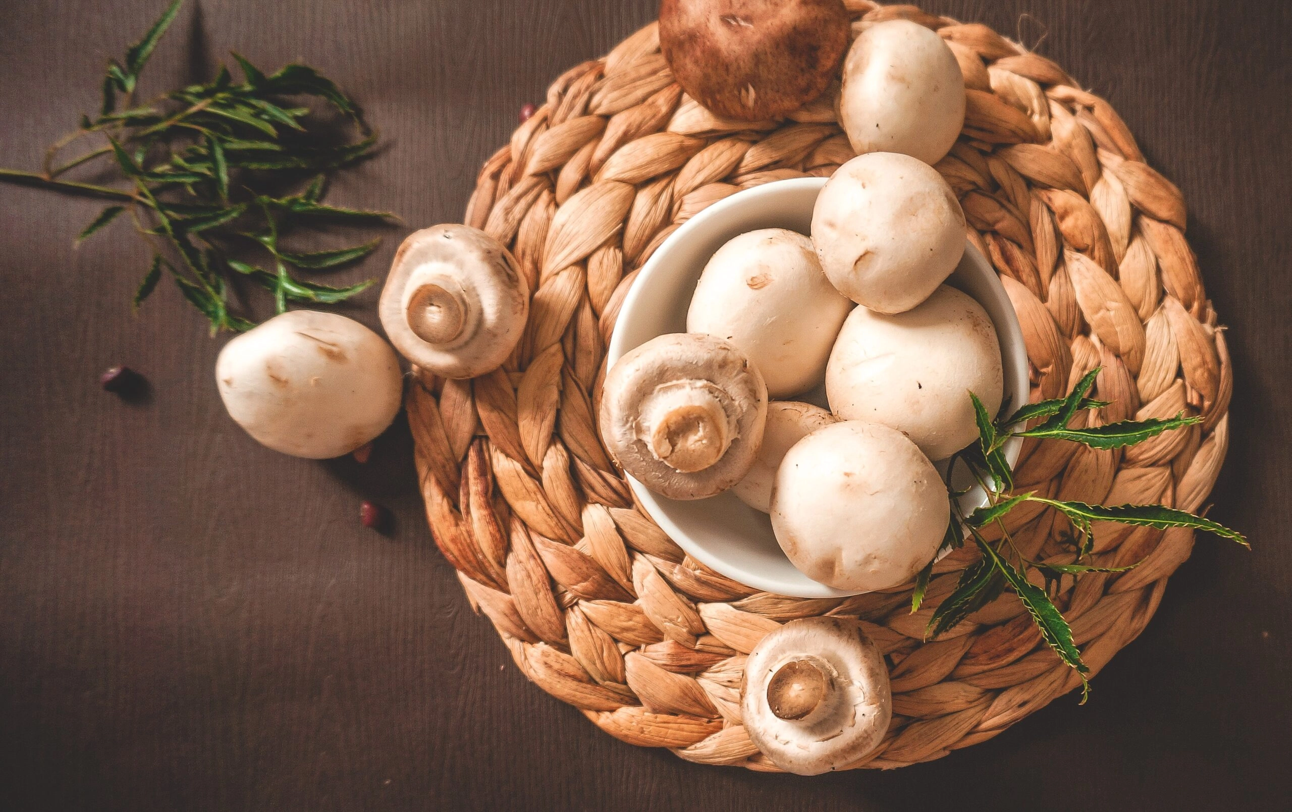 Setas. Foto de Thanh Soledas vía @Unsplash