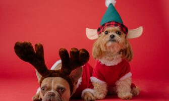 consejos para estar bien en navidad