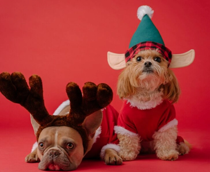 consejos para estar bien en navidad