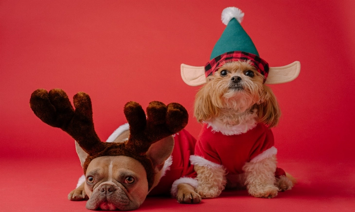 consejos para estar bien en navidad