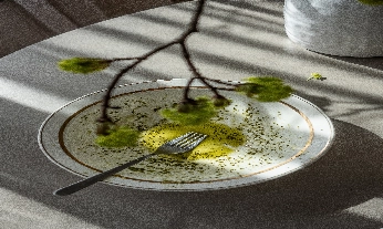 Mejores aceites para cocinar