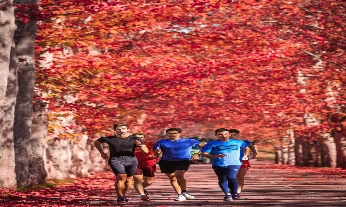 Beneficios de entrenar al aire libre