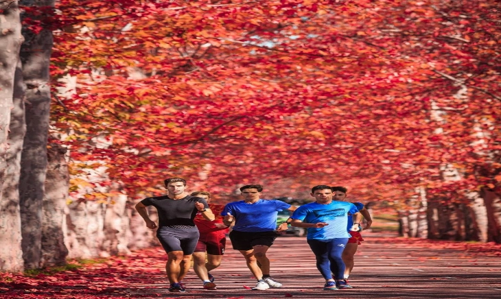 Beneficios de entrenar al aire libre