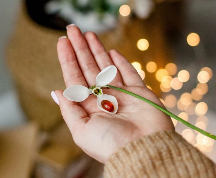 Suplementos para tomar durante la menopausia