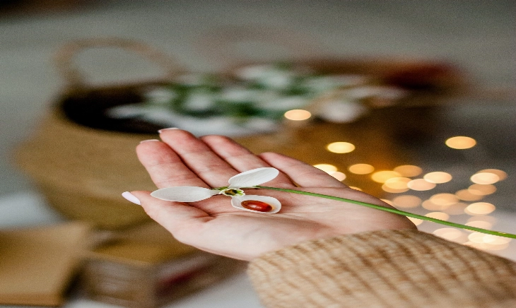 Suplementos para tomar durante la menopausia