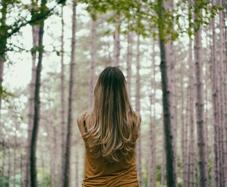 Baños de bosque como terapia