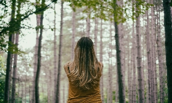 Baños de bosque como terapia