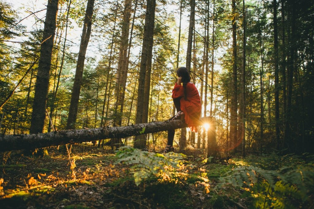 Cómo hacer un baño de bosque