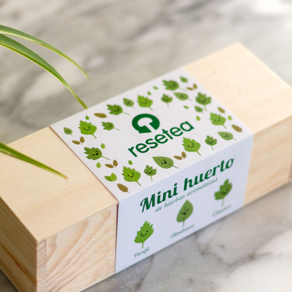 Mini huerto para casa