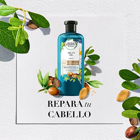 Champú de argán de Herbal Essences.