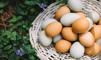 Ingredientes para sustituir al huevo