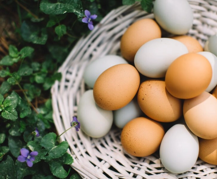 Ingredientes para sustituir al huevo