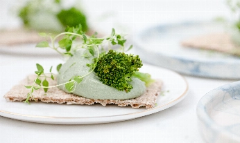 Cómo incluir germinados en tus platos