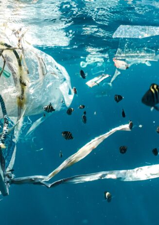 Marcas ocean friendly Marcas ocean friendly