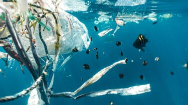 Marcas ocean friendly Marcas ocean friendly
