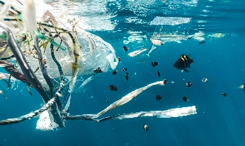 Marcas ocean friendly