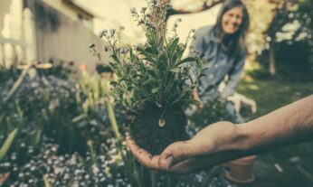 Es posible tener tu propio jardín ecológico en casa