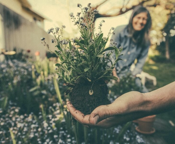 Es posible tener tu propio jardín ecológico en casa