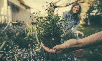 Es posible tener tu propio jardín ecológico en casa