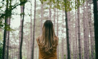 Existen marcas de cosmética sostenible que protegen nuestros bosques