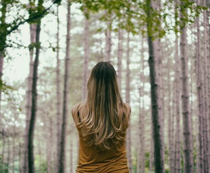 Existen marcas de cosmética sostenible que protegen nuestros bosques