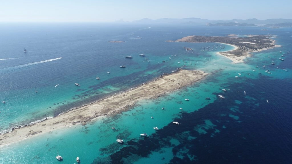 Las praderas de posidonia de Formentera están en riesgo