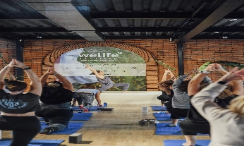 Mercedes EQ Welife Festival