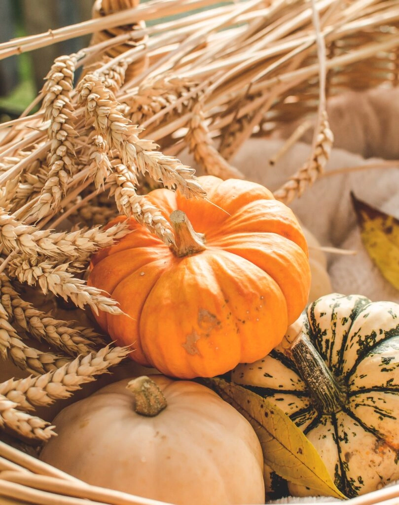 La calabaza es antioxidante y estimula la síntesis de colágeno y elastina.